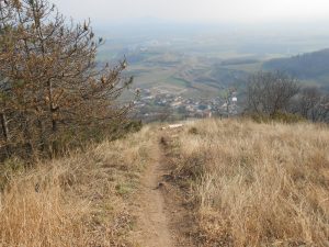 enduro mtb monti berici